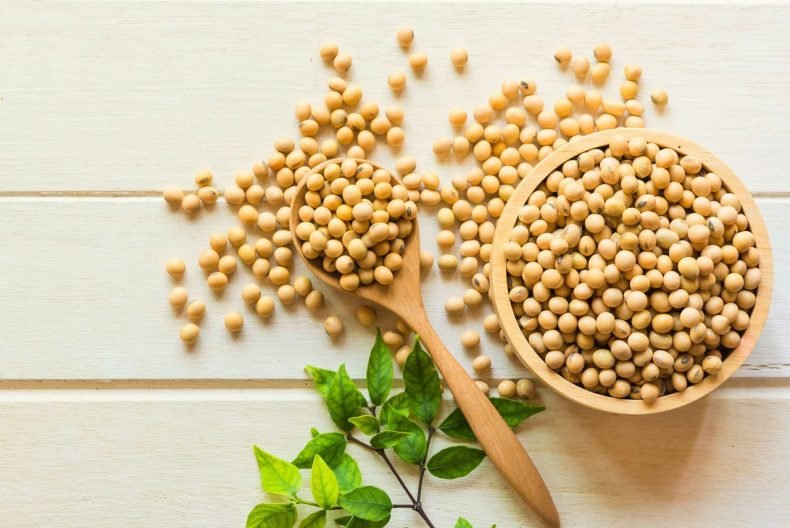 Soya NMG (Frijol de Soya No Modificada)